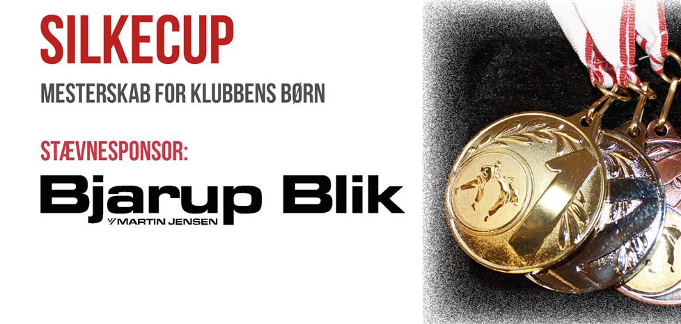 Silkecup (Klubmesterskab)