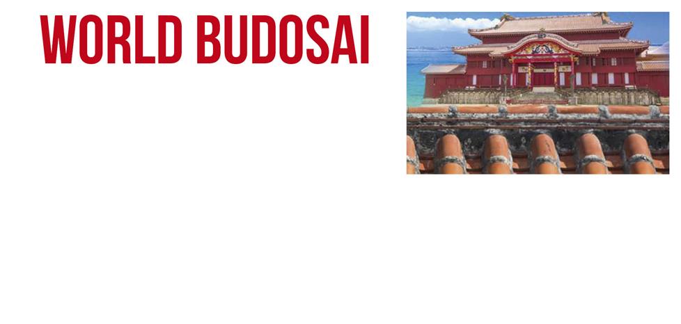 Budosai 2019