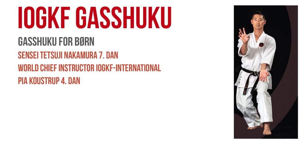 Gasshuku Børn - Silkeborg