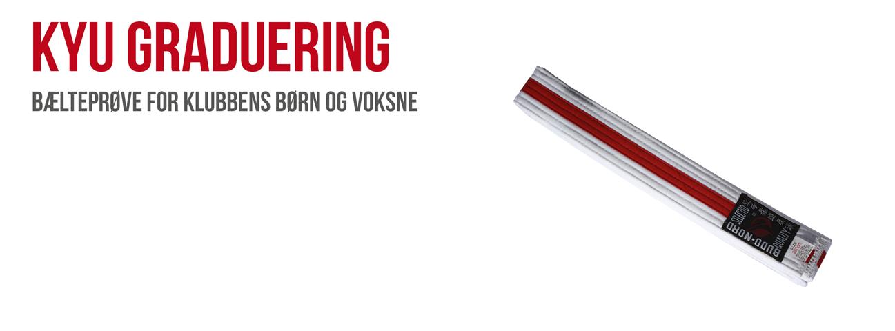 Kyu graduering i klubben