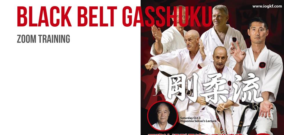 Online Gasshuku - Zoom